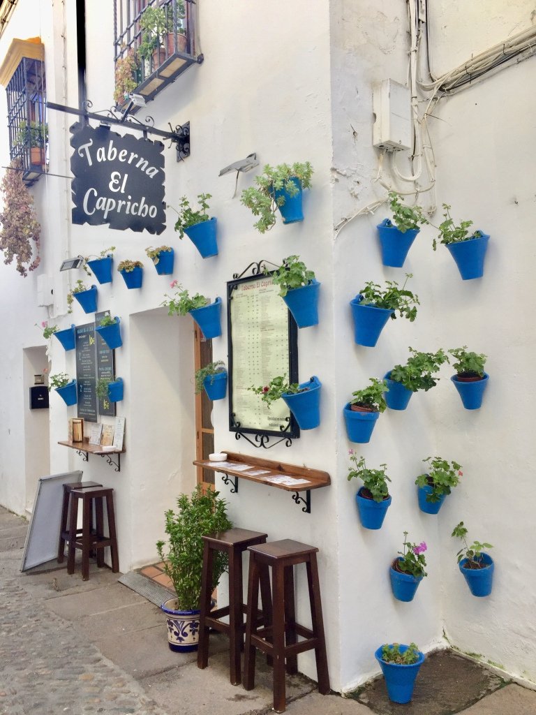 百花巷, Calleja de las Flores