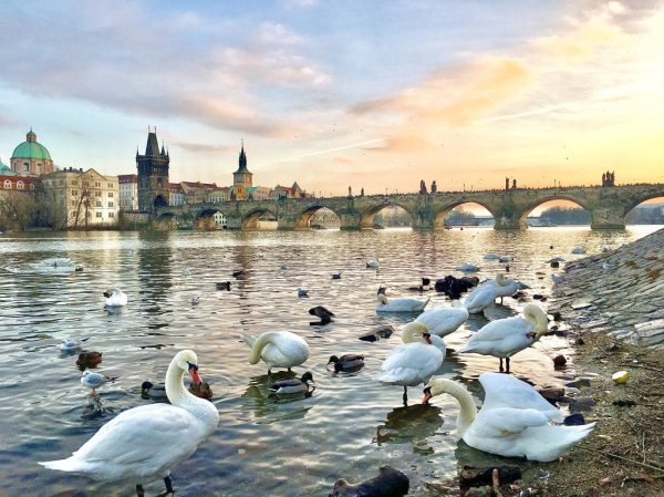 查理大橋, Charles Bridge