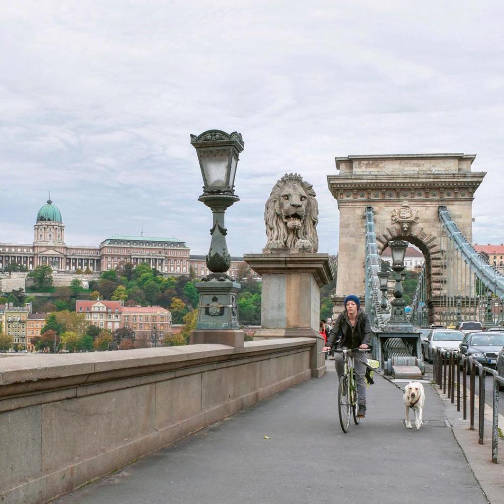 Chain Bridge, 鎖鏈橋