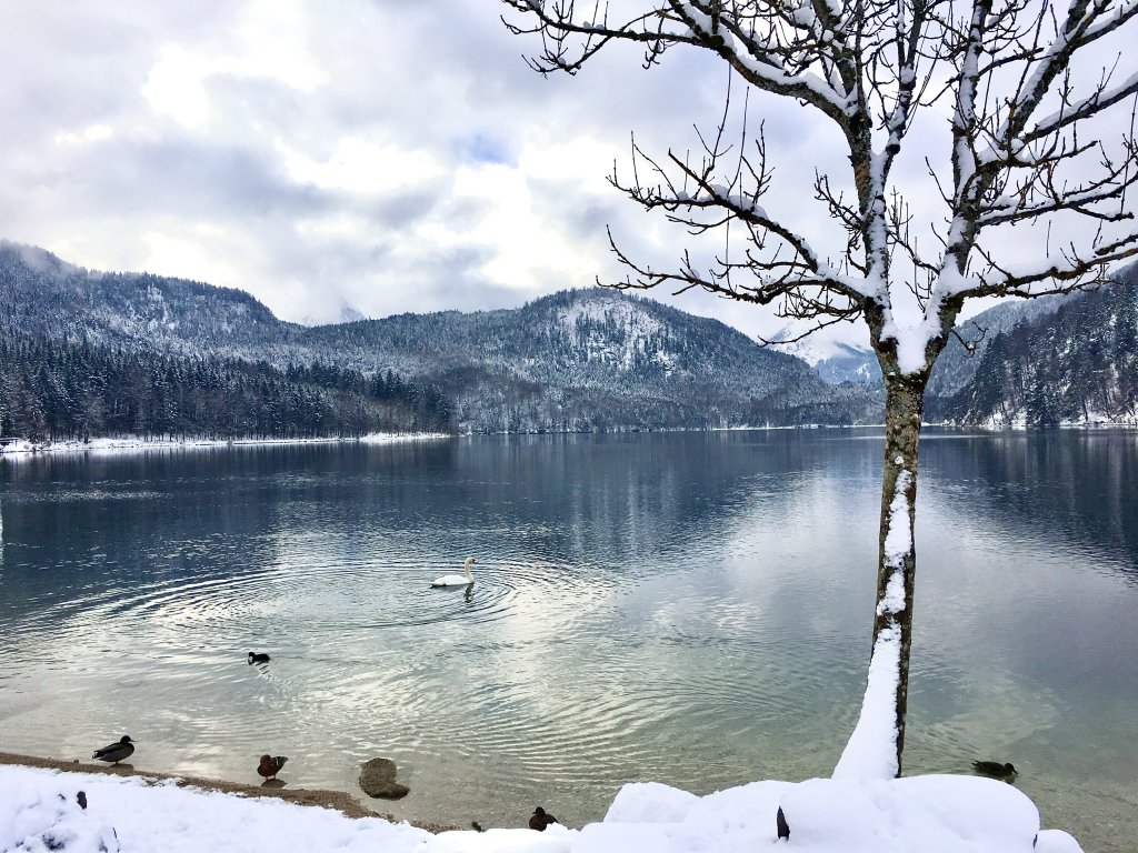 阿爾卑斯湖, Aplsee