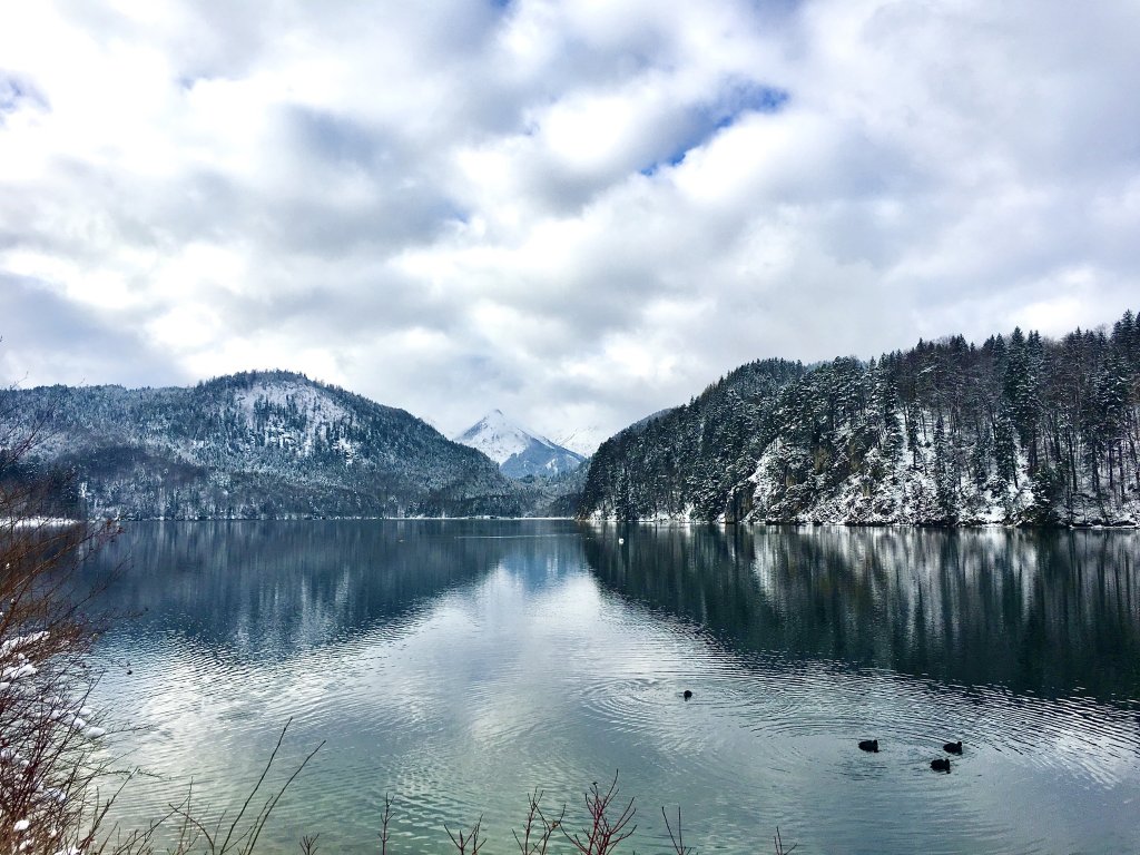 阿爾卑斯湖, Aplsee