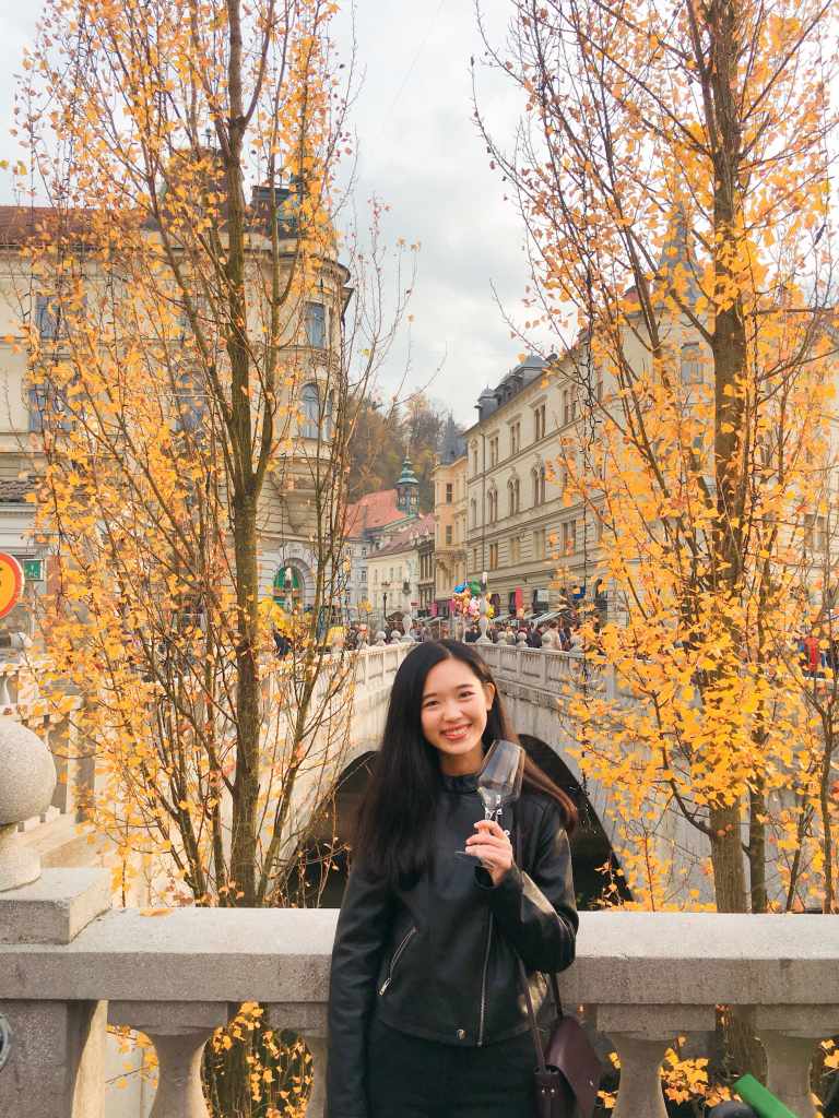 Slovenian Wine Festival, 斯洛維尼亞, 紅酒節, 斯洛文尼亞