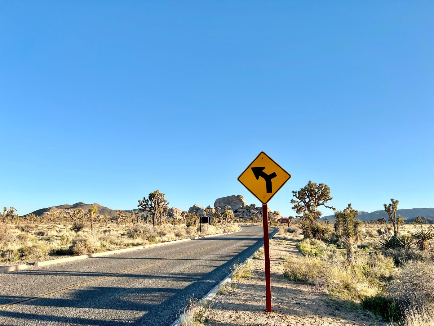 Joshua Tree National Park, 約書亞樹國家公園